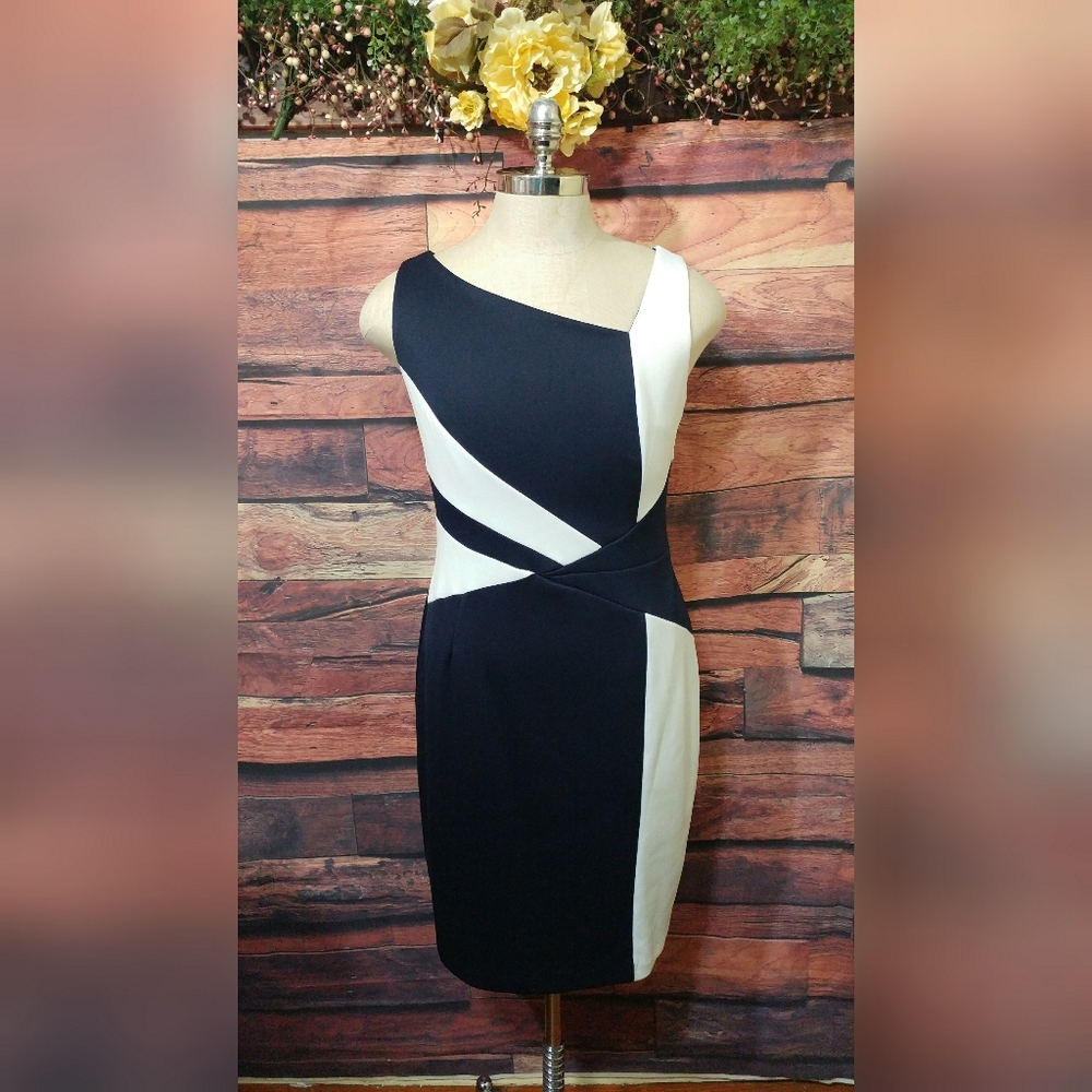 Dress Barn Navy White Color Block Sheeth dress 14
